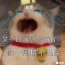 Profilbild von 长生