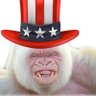 Profilbild von HonkeyKong