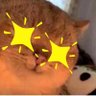 Profilbild von ₿runo