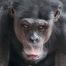 Profilbild von Anthugger
