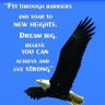 Profilbild von The Eagle Has Landed