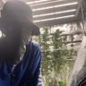 shmo 的头像