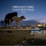 Felipe Mendes 的头像