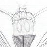Фото профиля Shyder