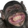 Cyber Chimp 的头像