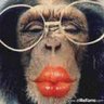 Profilbild von vito1212123