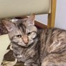no name's profile picture