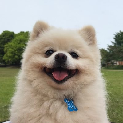 Dekapome_Boss's profile picture