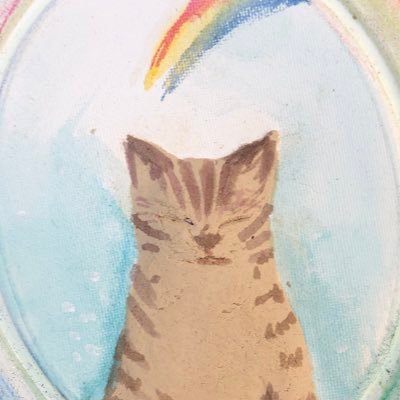 kei 🌈気づきを広げる's profile picture