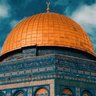 Фото профиля محمود