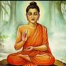Shankara Ram profil fotoğrafı