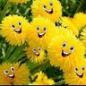 tineke 🌺's profile picture