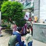 Alfo 的头像