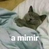 ぐろねこちゃん profil fotoğrafı