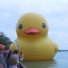 cyanFlubby profil fotoğrafı