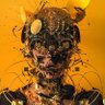 musiCourt's profile picture