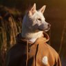 Dana ♥'s profile picture