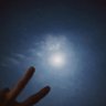 l's profile picture