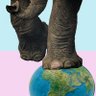 Profilbild von Elefante🐘de marfil