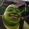 Not Shrek 的头像