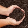 Фото профиля Mulch