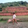 Sikander 的头像