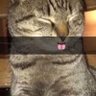 Фото профиля ᴿ ᶦ ᶜ ʰ ᵃ ʳ ᵈ