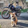 Trerieux profil fotoğrafı