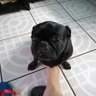 Byron_vazTrini profil fotoğrafı