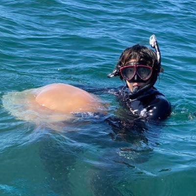 【公式】古代生物ミュージアム、クラゲ専門店Atolla（幻想クラゲ館）'s profile picture