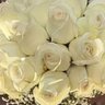 Shahnaz 82's profile picture
