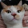 あーちゃん 的头像