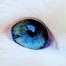 Profilbild von るぼなる