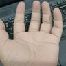 急星高燥 profil fotoğrafı