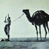 عَرَب 的头像