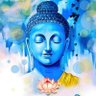 Фото профиля Amit Kumar