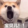 vshshdb 的头像