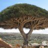 Фото профиля بدش