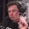 Elons Face profil fotoğrafı
