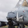 Profilbild von Quick Warthog