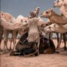 علي الهاجري 的头像