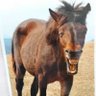 サンサン's profile picture