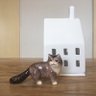 🐈naoko🍃 profil fotoğrafı