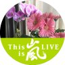 こま's profile picture