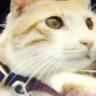 Profilbild von みのり