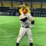 Profilbild von 元中の人