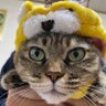 あまふみ's profile picture