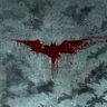 Conan Wright's profile picture
