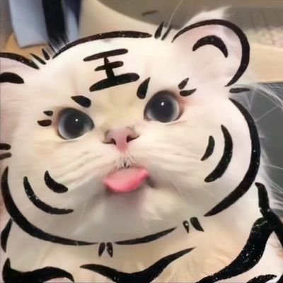 wangzhezhifeng6's profile picture