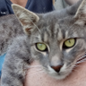 Adam's profile picture